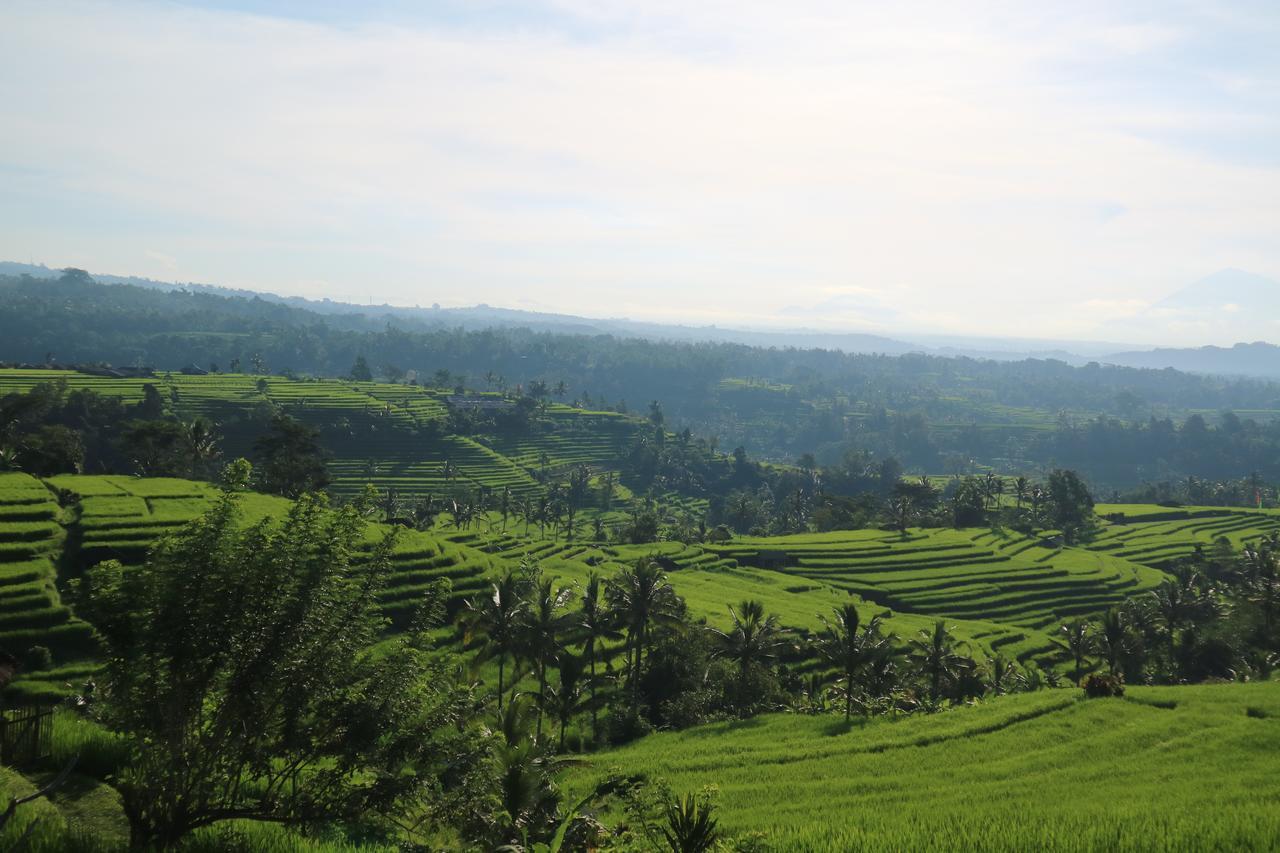 Sang Giri - Mountain Glamping Camp Hotel Jatiluwih Bagian luar foto