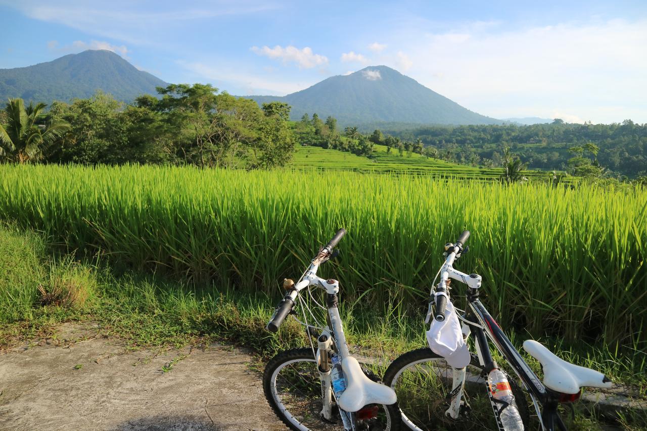 Sang Giri - Mountain Glamping Camp Hotel Jatiluwih Bagian luar foto
